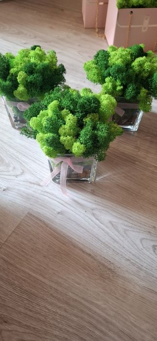 Дървени и стъклени кашпи със скандинавски мъх и цветя