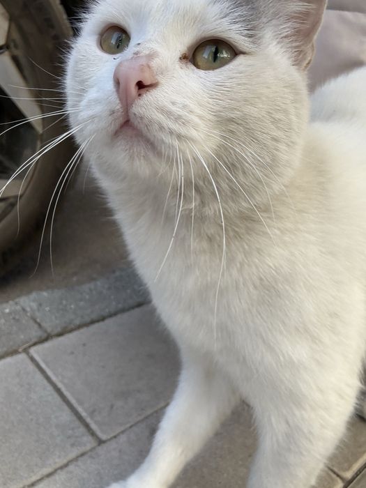 Мальчик ищет дом