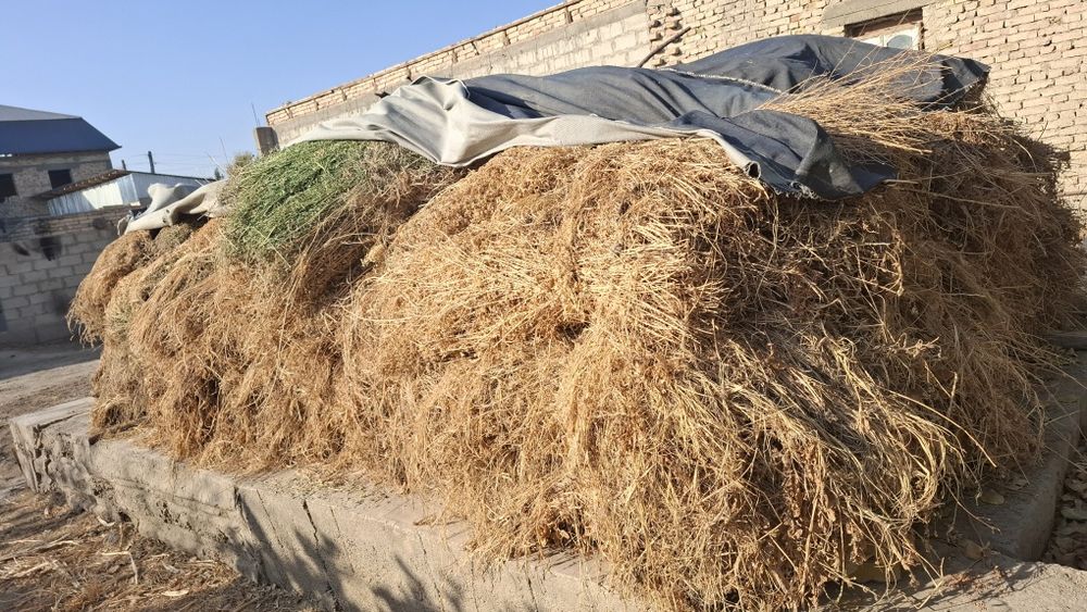 Беда ва утлар сотилади