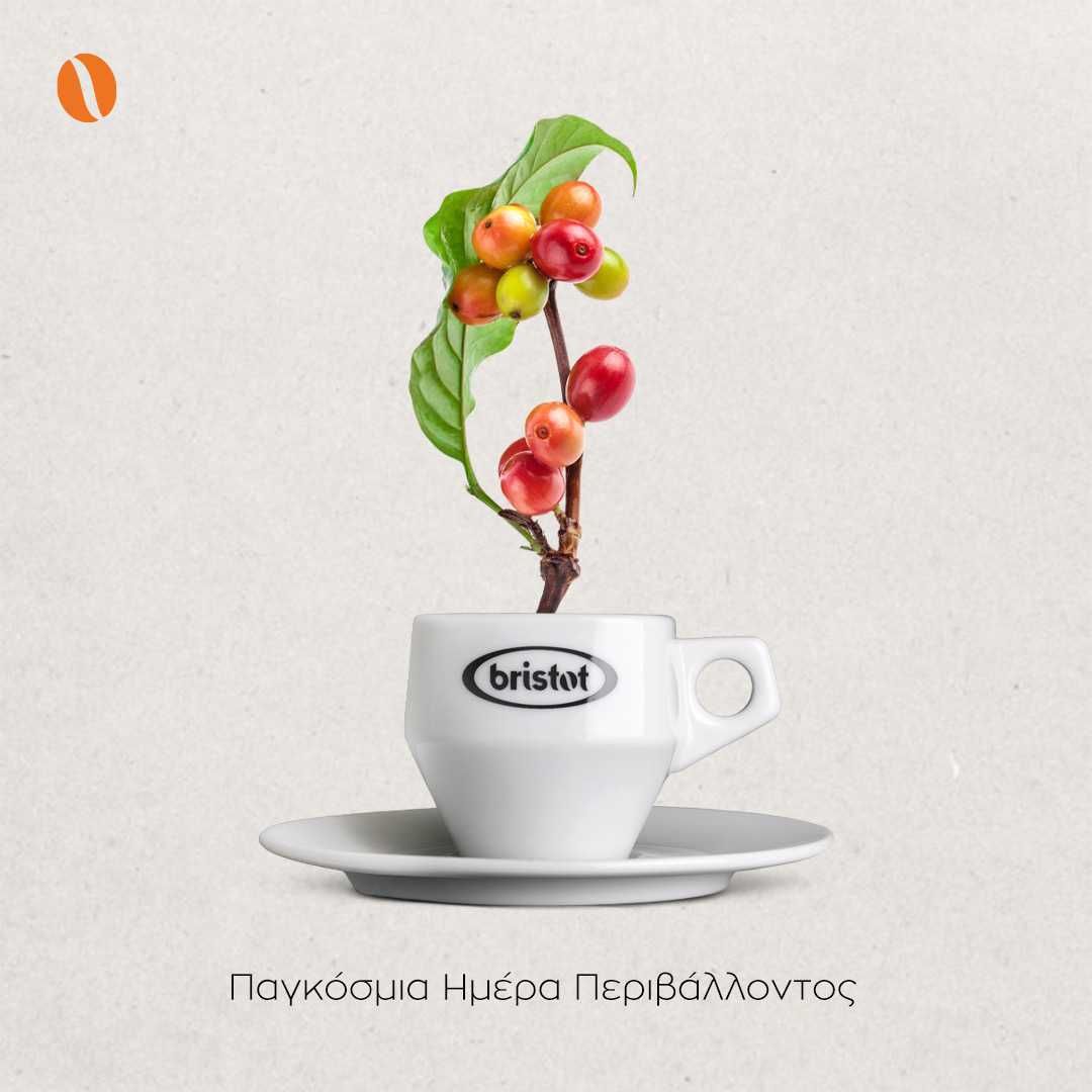 Кофе в зернах Bristot Vending Espresso 1кг