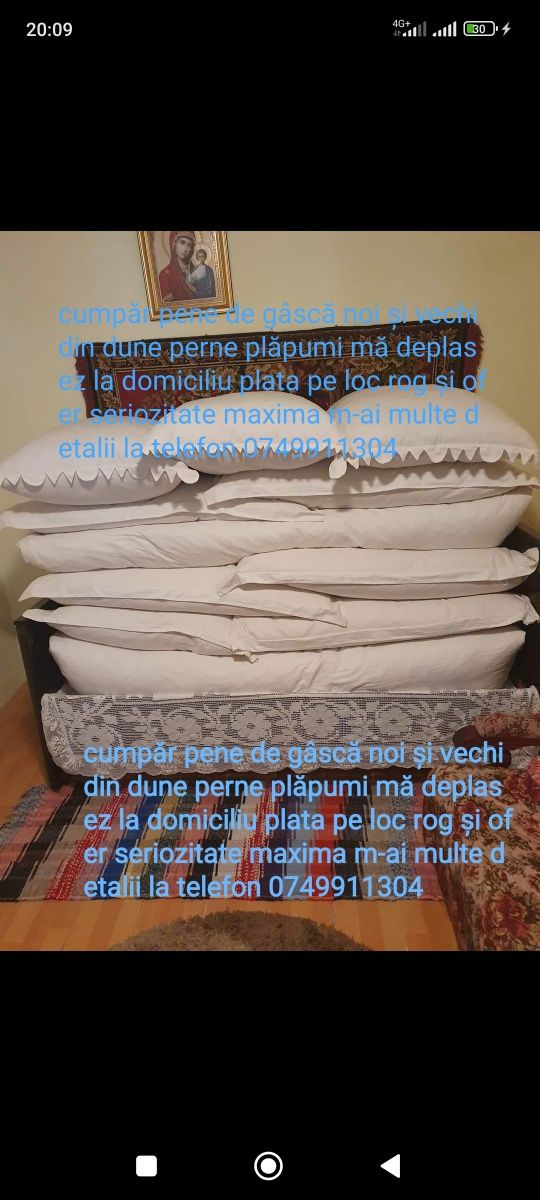 Pene de gâscă vechi din dune perne plăpumi