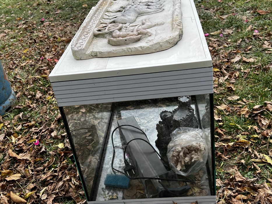 Acvariu pesti/broaste testoase