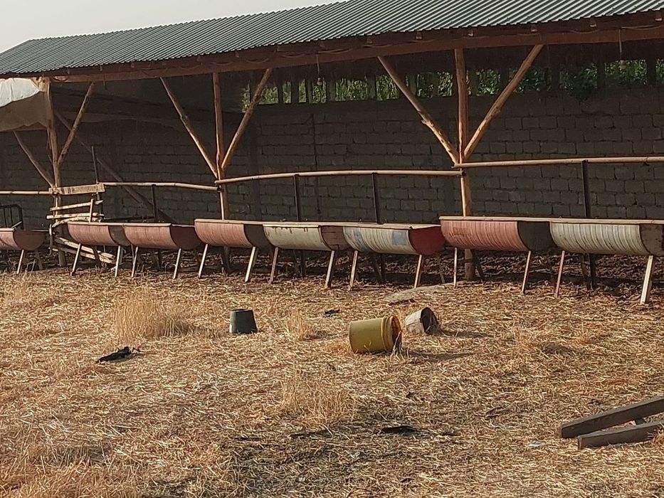 Срочно продам земельный участок площадью 100 сот 
Таш обл. Черняевка.