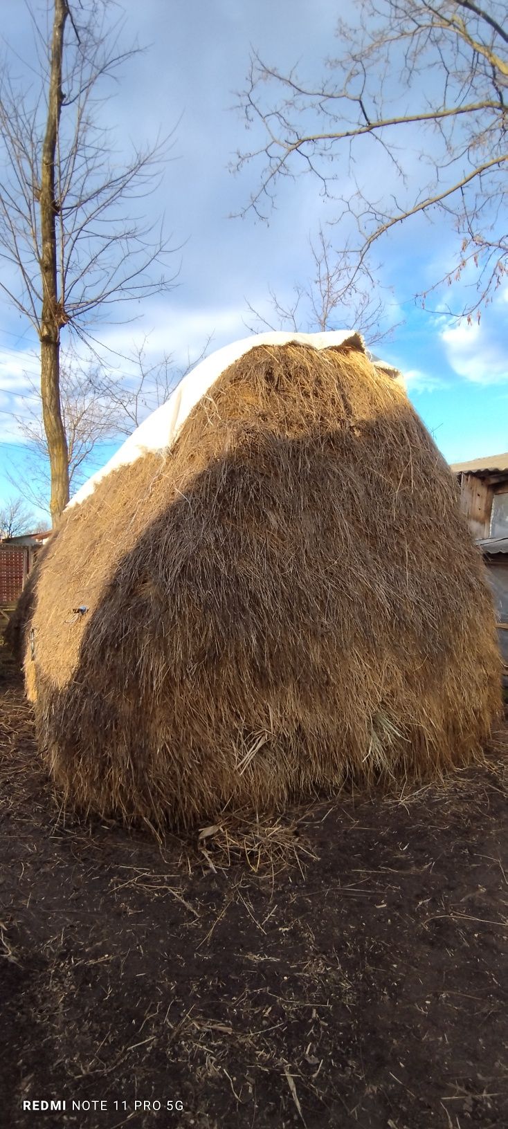 Vând vân.  Și lucernă