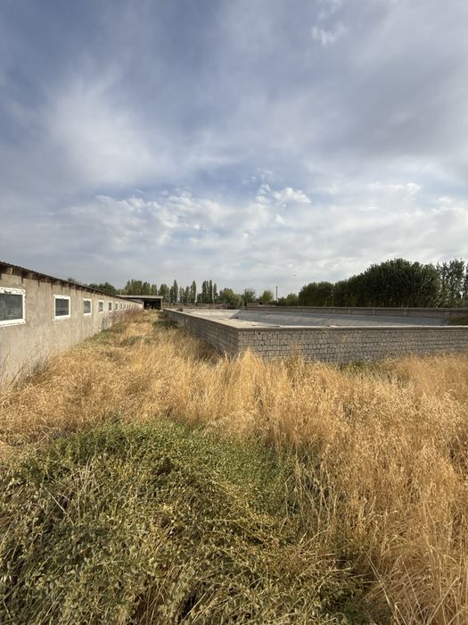 Sergeli Layle Maxallada 50 sotix yer sotiladi 3 tarafi kocha jiloy xuj