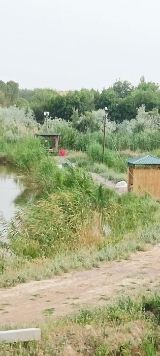 Рыбалка с огромной рыбой