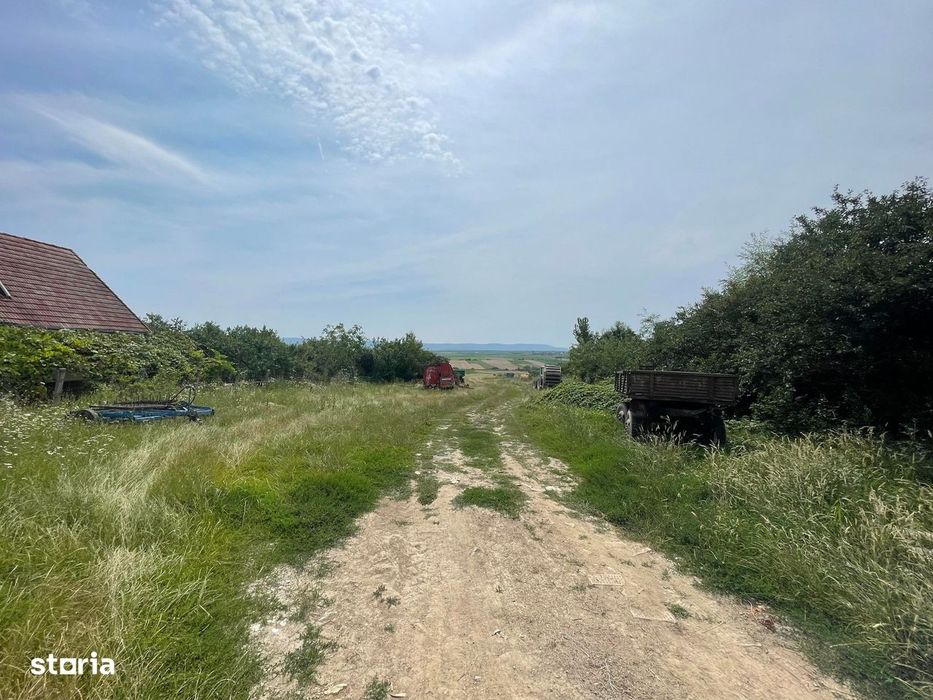 Teren intravilan 67 ari Viile Satu Mare