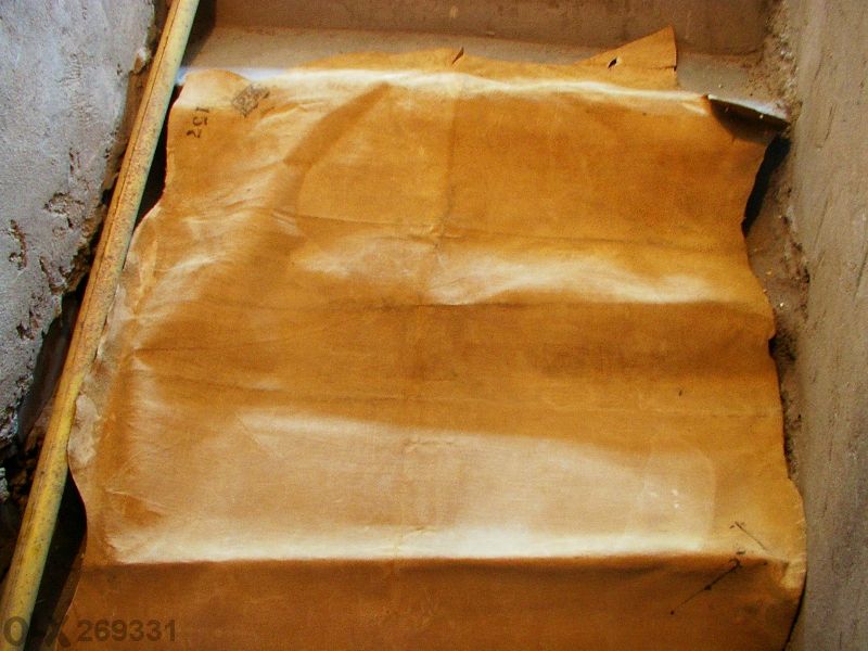 Кожа,свински изохастар