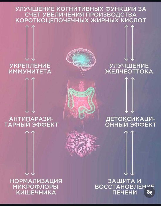 АРАБИНОГАЛАКТАН ( натуральный пребиотик )
