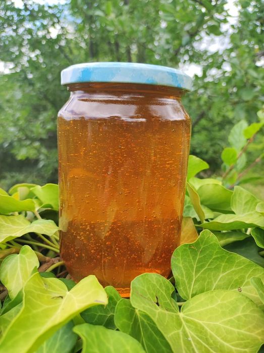 Пчелен мед от производител ! На буркан или тенекия