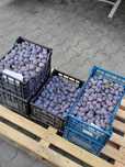 Vand prune pentru gem sau compot