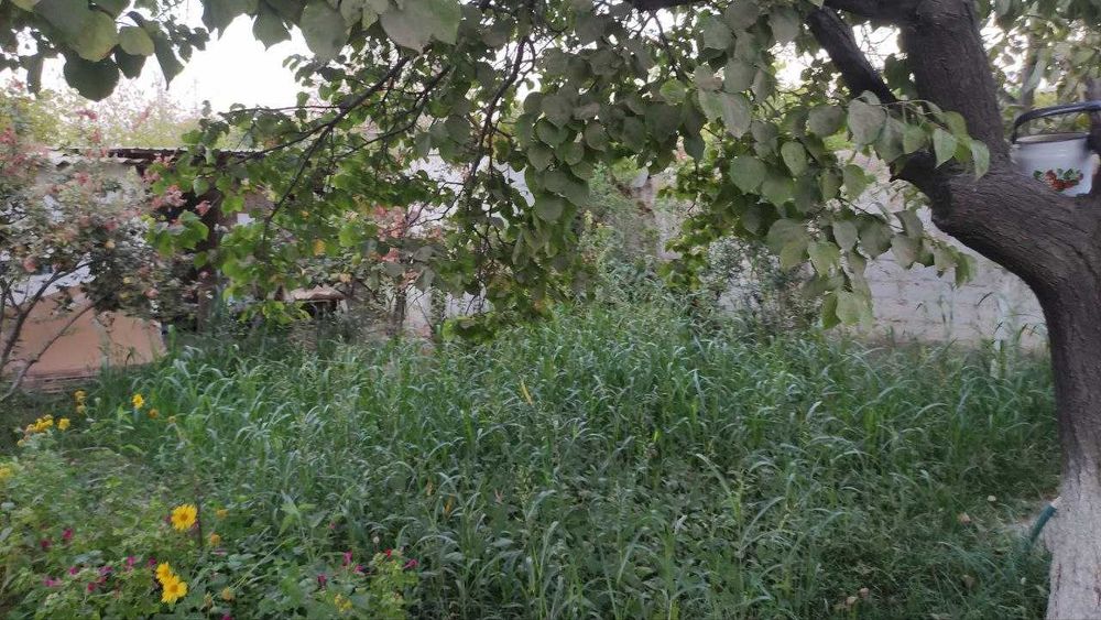 Ховли сотилади. Шахарга якин