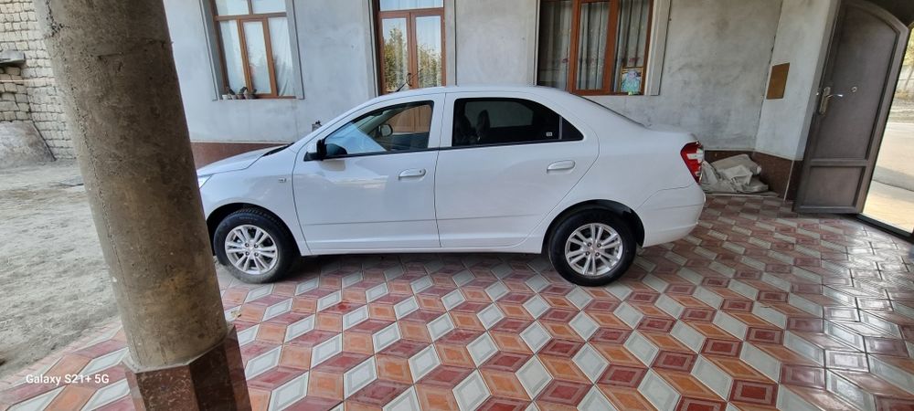 kobalt  pachka 2024 srochno  20