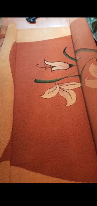 Кошачия когтеточка