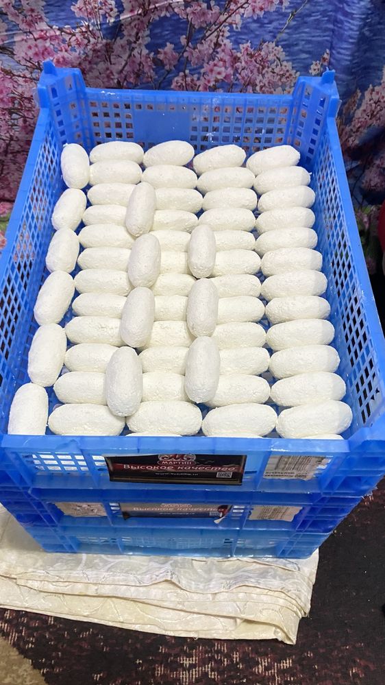 Курт.
