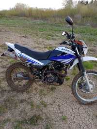 Racer panther lite 250