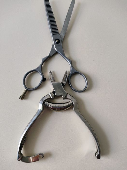 Филажна ножица Jaguar Solingen