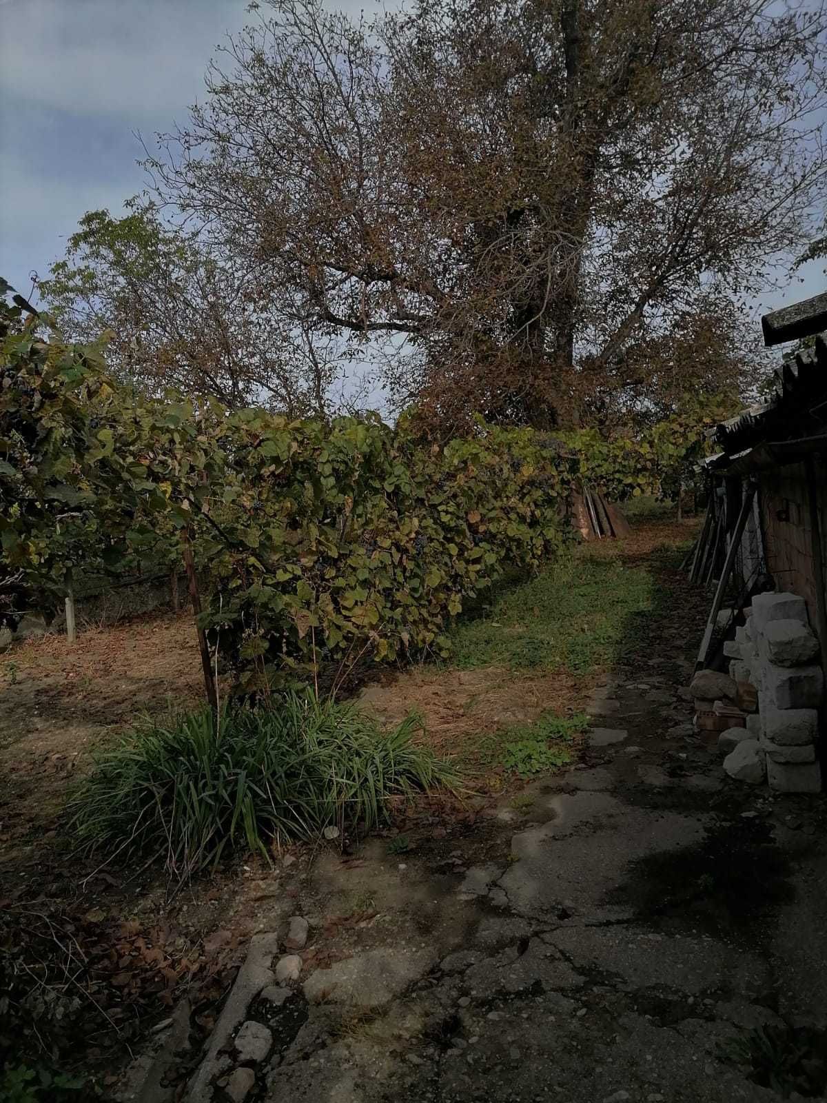 Casa de vanzare in ORASTIE