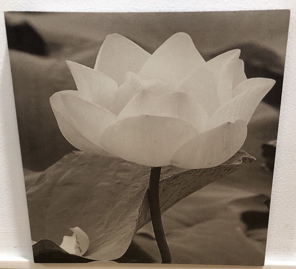 Tablou floare alb negru