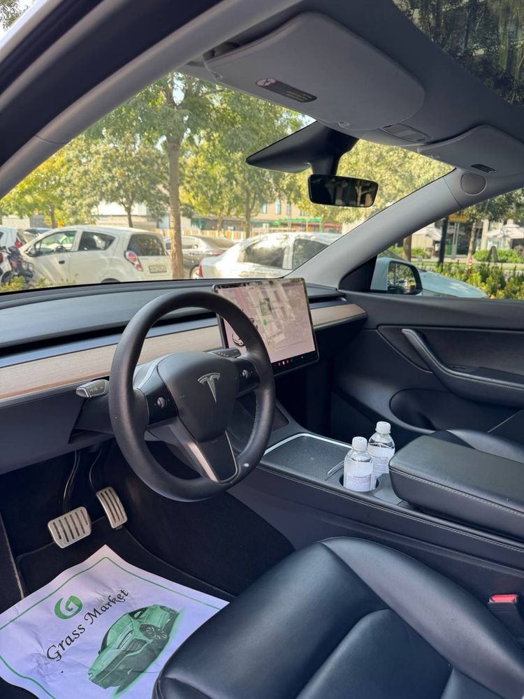 Tesla Model Y Dual Motor Long Range 2021/2022 America