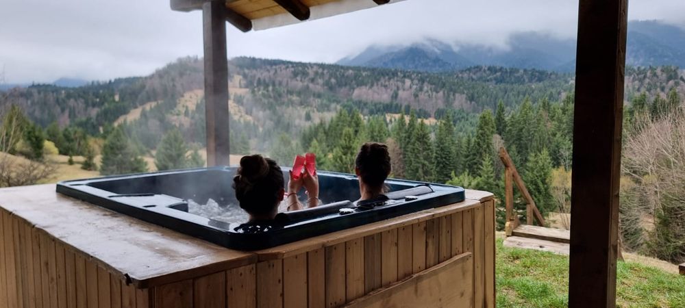 Cabana Colibița de închiriat