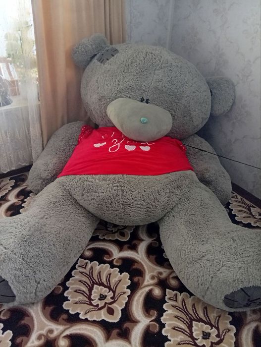 Holati a'lo katta  teddy sotiladi