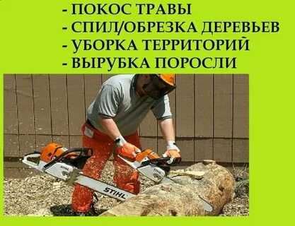 Автовышка, спилим кронируем дерево, обрезка веток, пила, инструменты