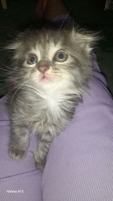 Вы придёте и посмотрите на него если не понравится не берите