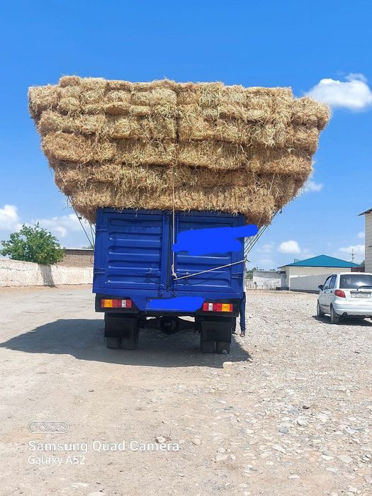 Gaz 53. 0 dan qilingan