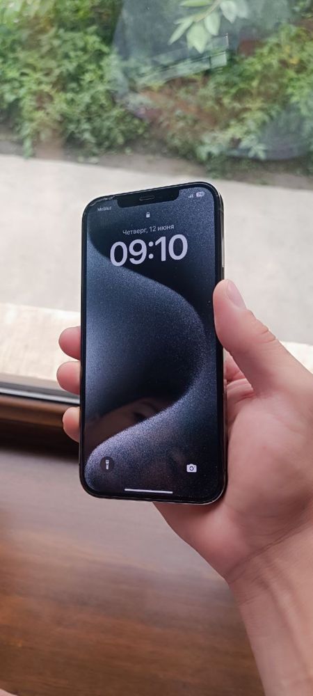 12 pro Max 256 gb