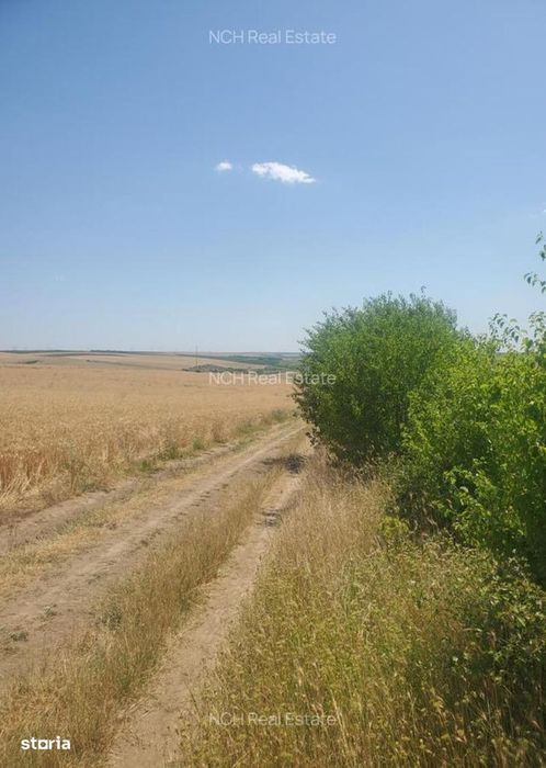 130 Ha comasat 100%, judetul Constanța