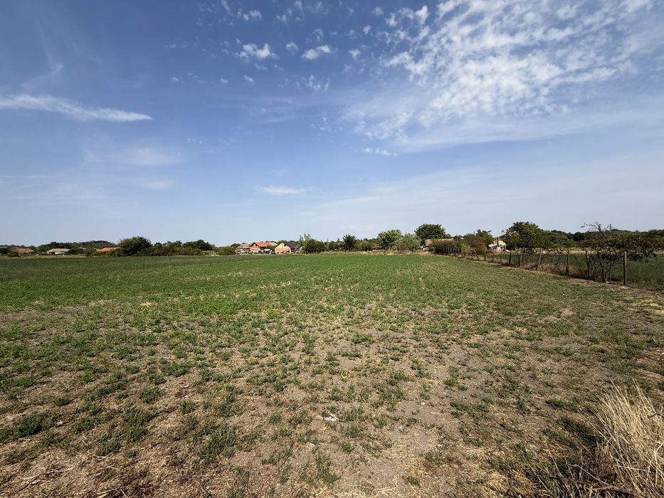 Casă și teren 4109 mp – zonă liniștită, Mănăștur, Vinga