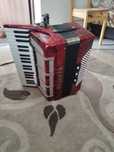 Acordeon DELICIA