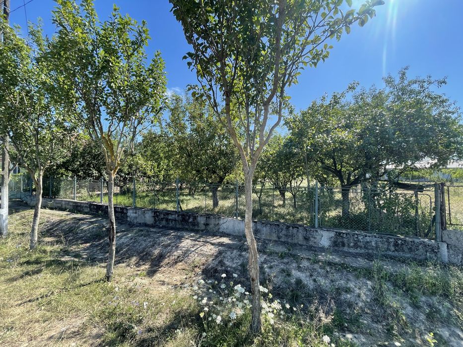 Vand casa in loc. Baba Novac jud. Satu Mare