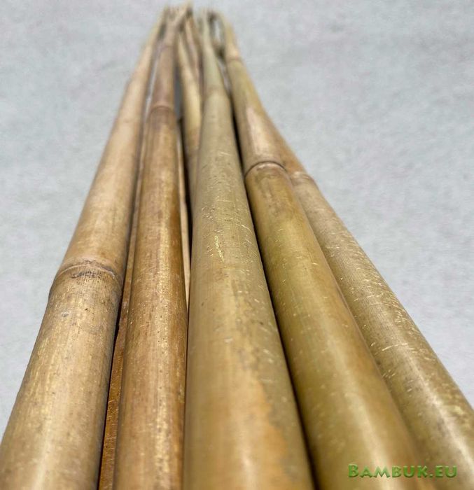 Бамбук на пръчки 210см дължина