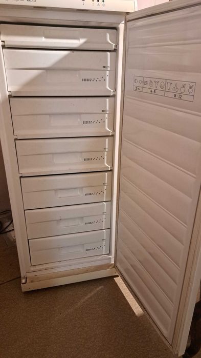 Вертикален фризер Snaige