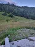 Padure de vinzare Neamt, Pipirig