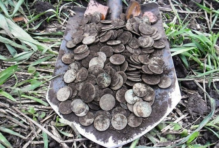 Металлоискатель аренда.