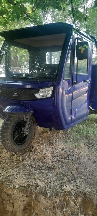Muravey Alp motors
