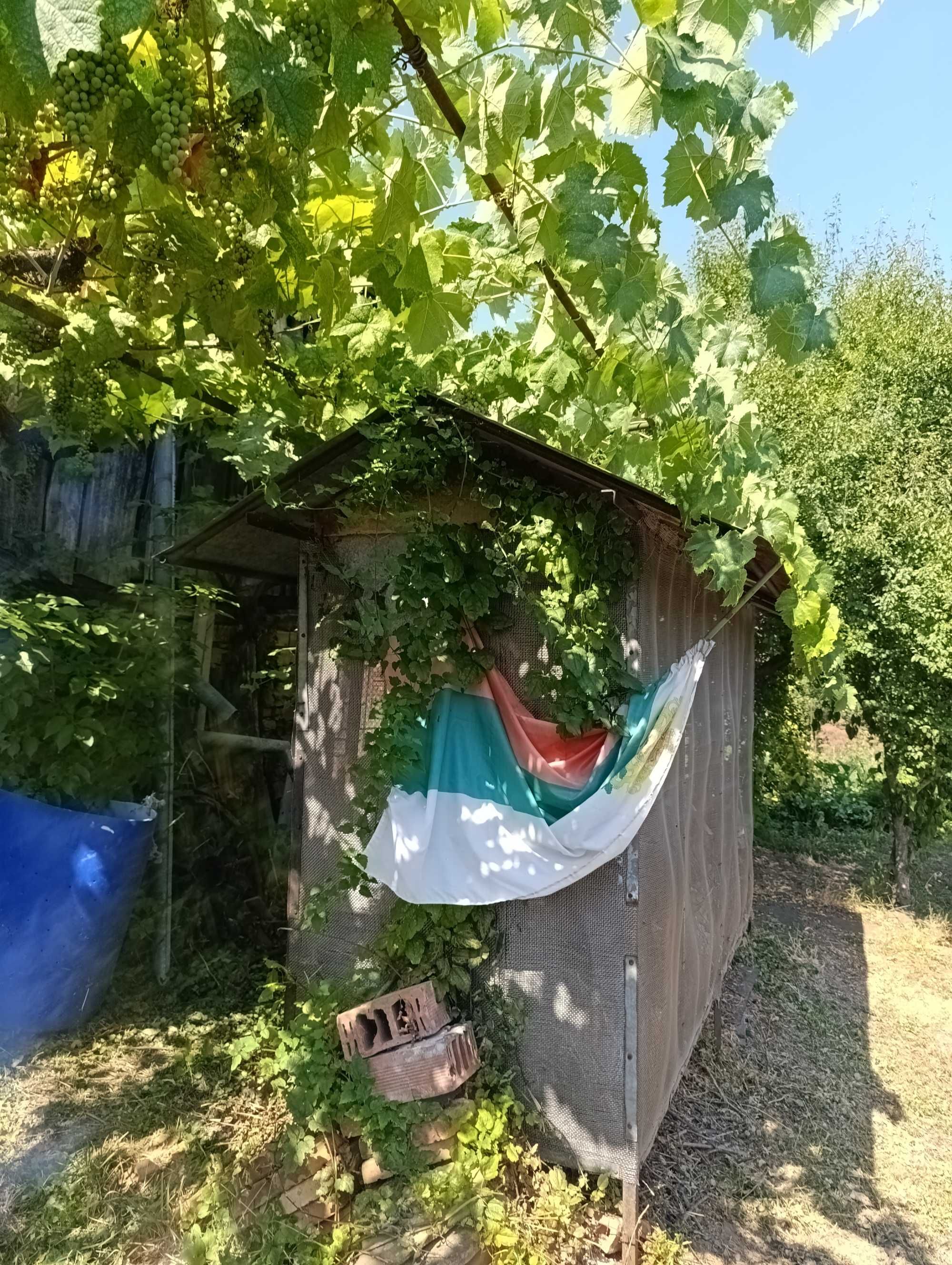 Хамбар Метален/Кокошарник