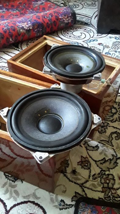 Колонка 10 гдн янги