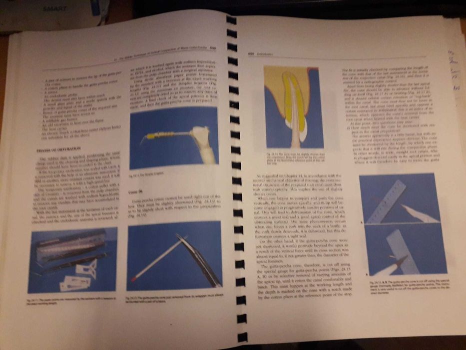 Endodontics- Vol II -stomatologie