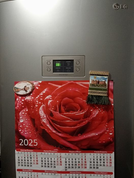 Холодильник рабочий