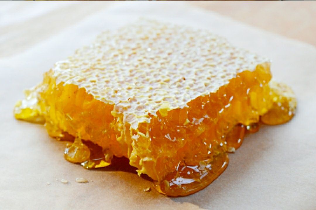 Клей / Прополис / Пчелен мед / мед в пита / пчелен прашец / восък