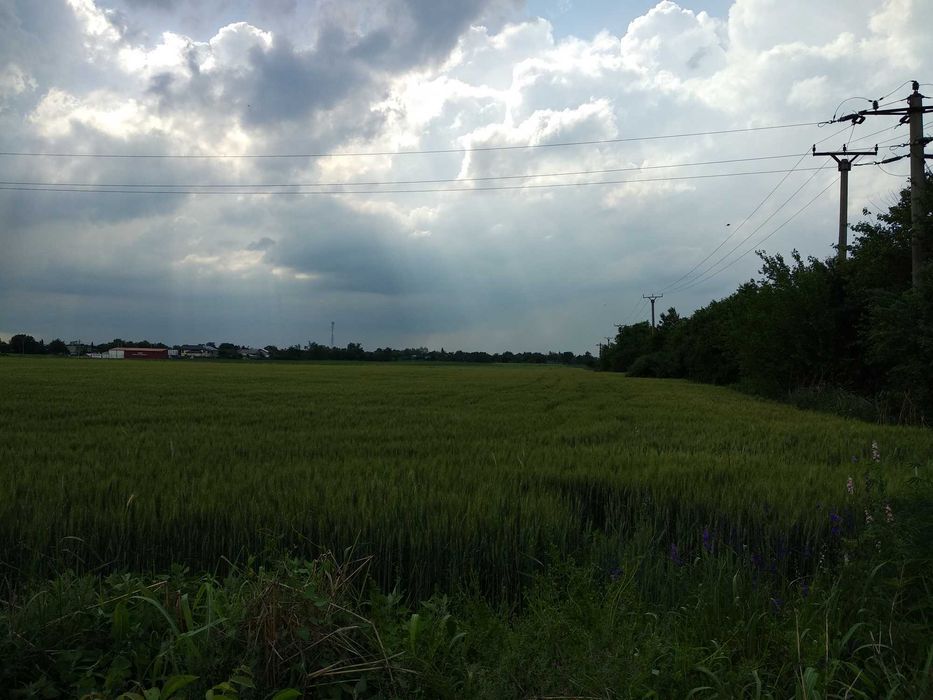 Teren intravilan, 4,30ha ideal parc fotovoltaic