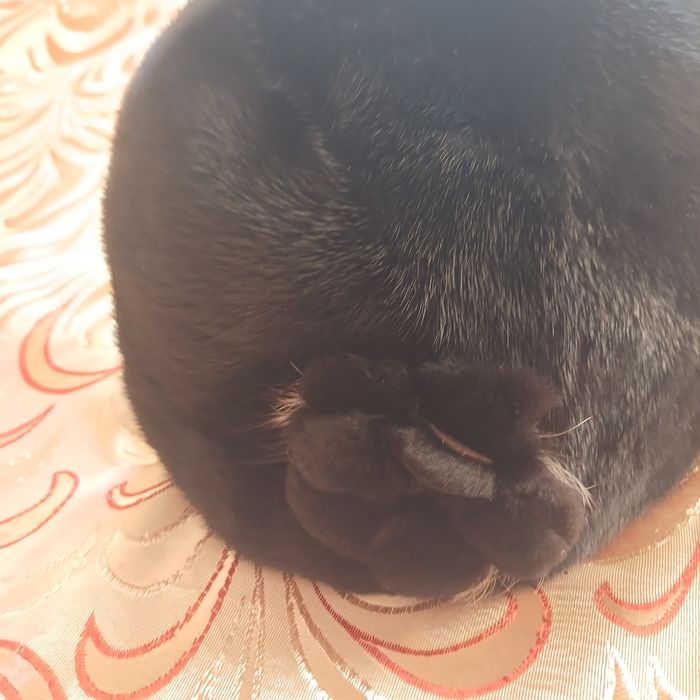 Продам норковую шапку