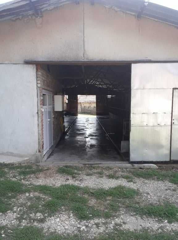 Продава се Земеделски имот в с. Бащино, Област Стара Загора -  кв.м за 7650 €/дка - Снимка #5