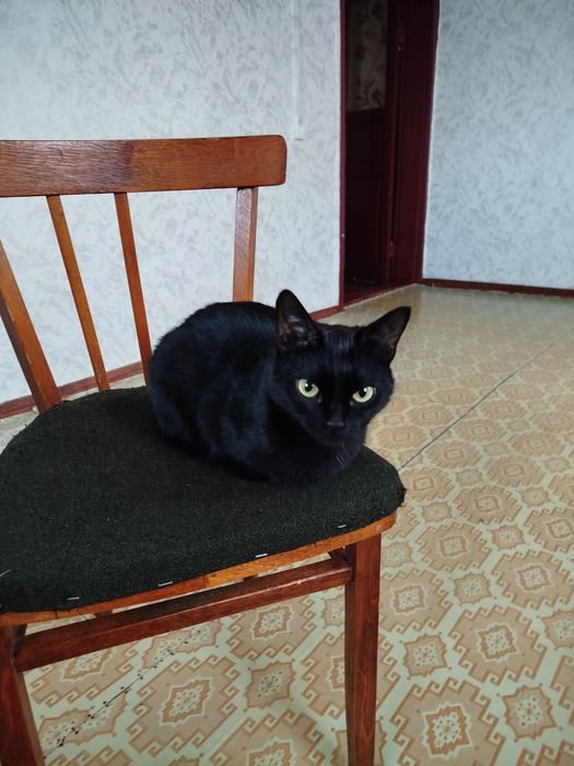 Продается дом в Булаево