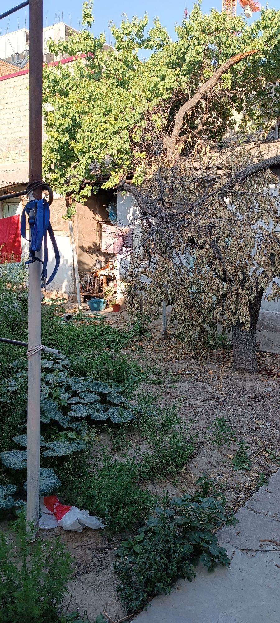 Продается дом 4 комнаты, 3 сотоки. Ор Миробатское РОВД ул. Савр