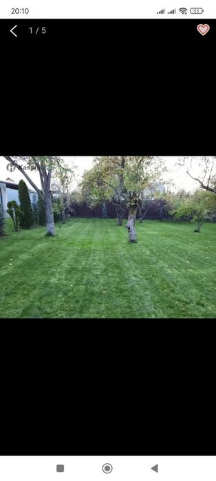 Обрезка плодовых деревьев уборка